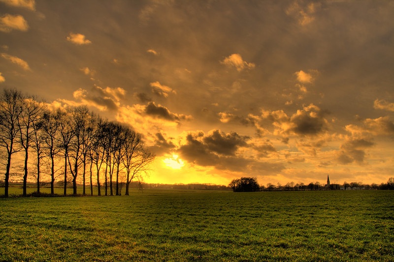 Landschap